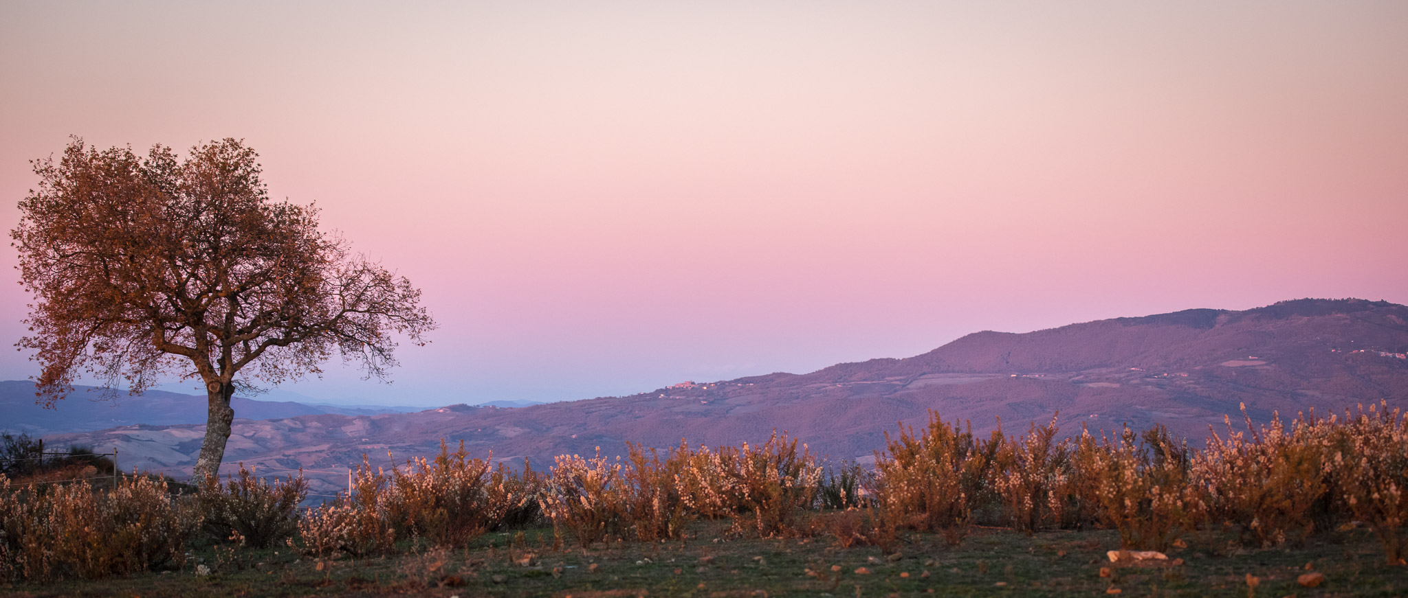 Landschaft